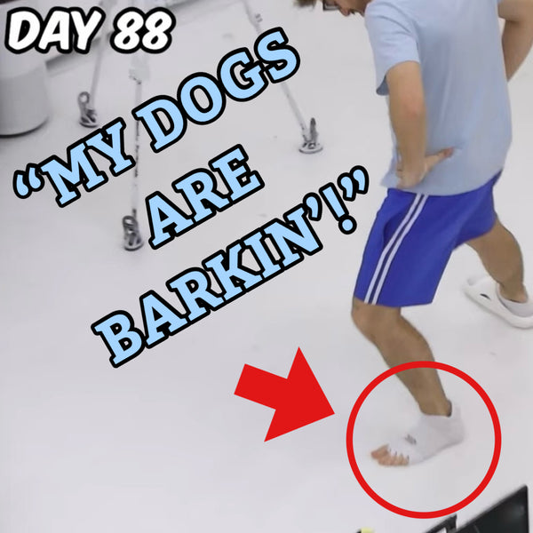 The Official “Barking Dog” socks